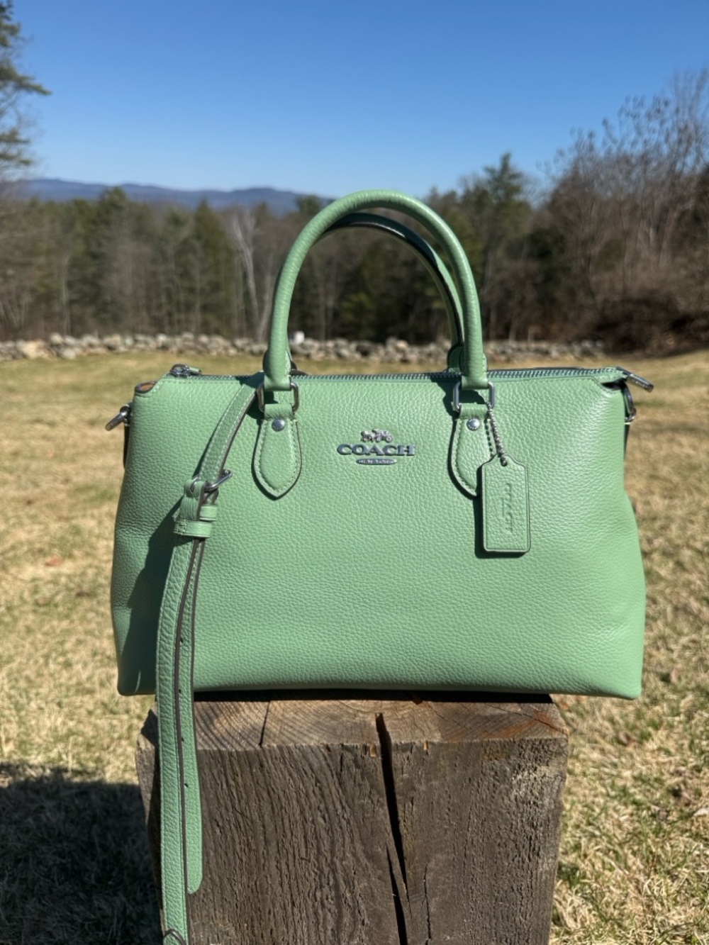 Coach Georgia Satchel